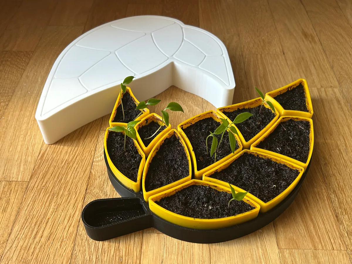 Desktop Design Seed Starter