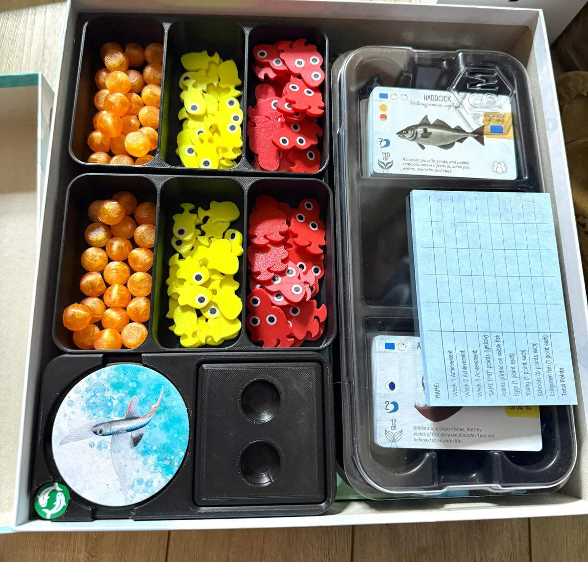 Finspan Board Game Insert, photo 3 of 3 - Finspan Board Game Insert Board Games & Tabletop