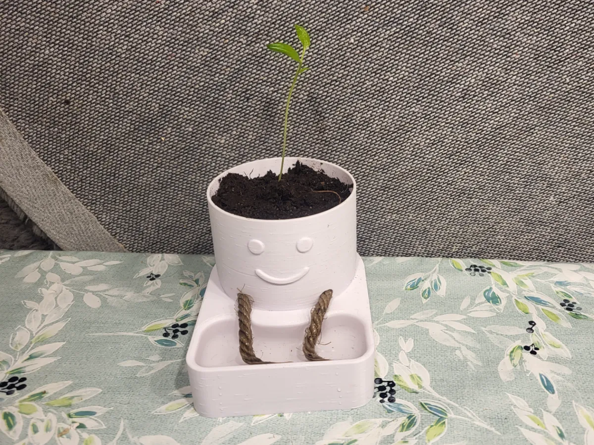 smiley self watering pot
