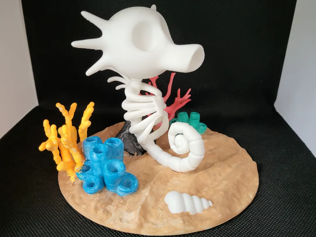 Horsea sekeleton