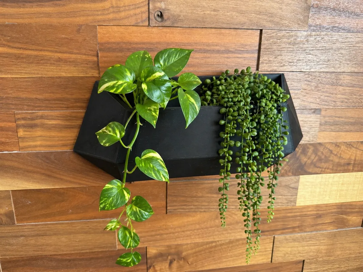 Wide Wall-Mounted Hex Stealth Plant Pot, photo 3 of 3 - Wide Wall-Mounted Hex Stealth Plant Pot Garden & Outdoor