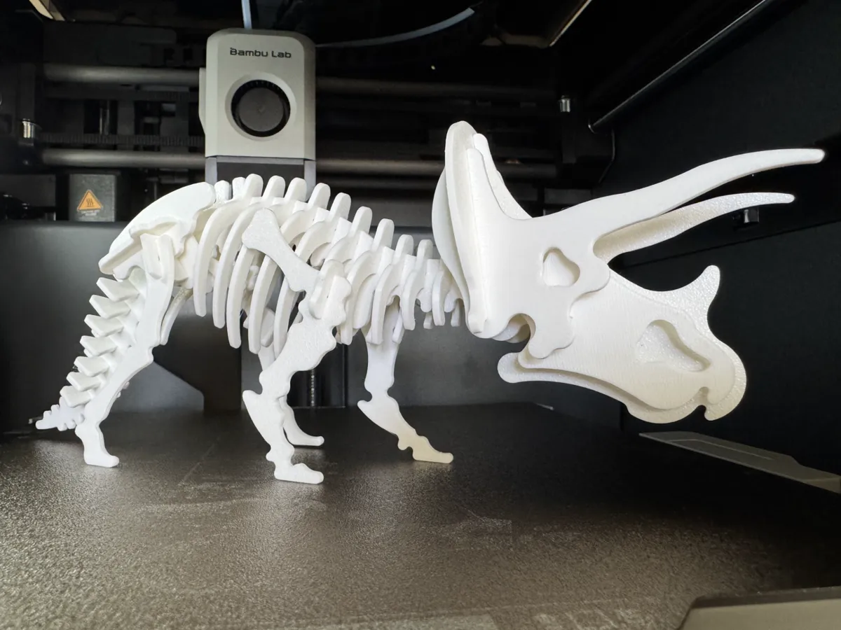 Triceratops Dinosaur Skeleton Puzzle