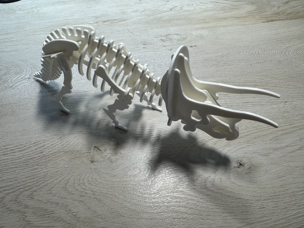 Triceratops Dinosaur Skeleton Puzzle, photo 3 of 4 - Triceratops Dinosaur Skeleton Puzzle Miniatures