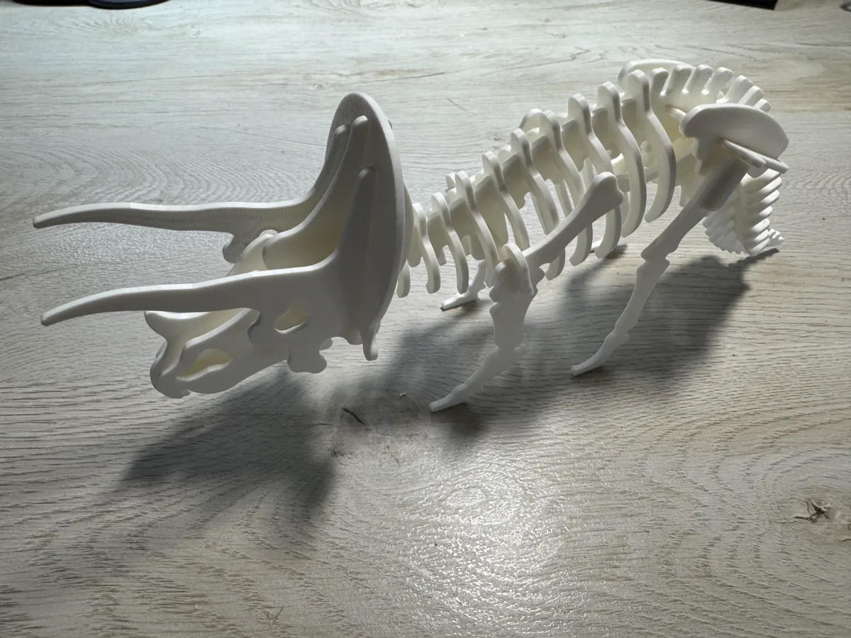Triceratops Dinosaur Skeleton Puzzle, photo 4 of 4 - Triceratops Dinosaur Skeleton Puzzle Miniatures