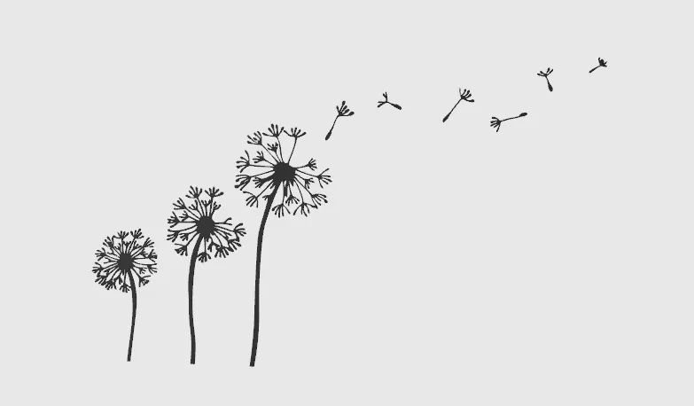 Wall Art - Dandelion