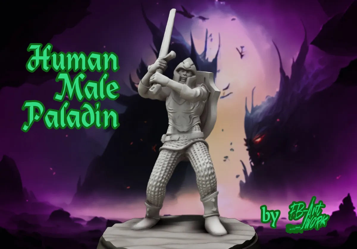 DnD miniature Human male Paladin