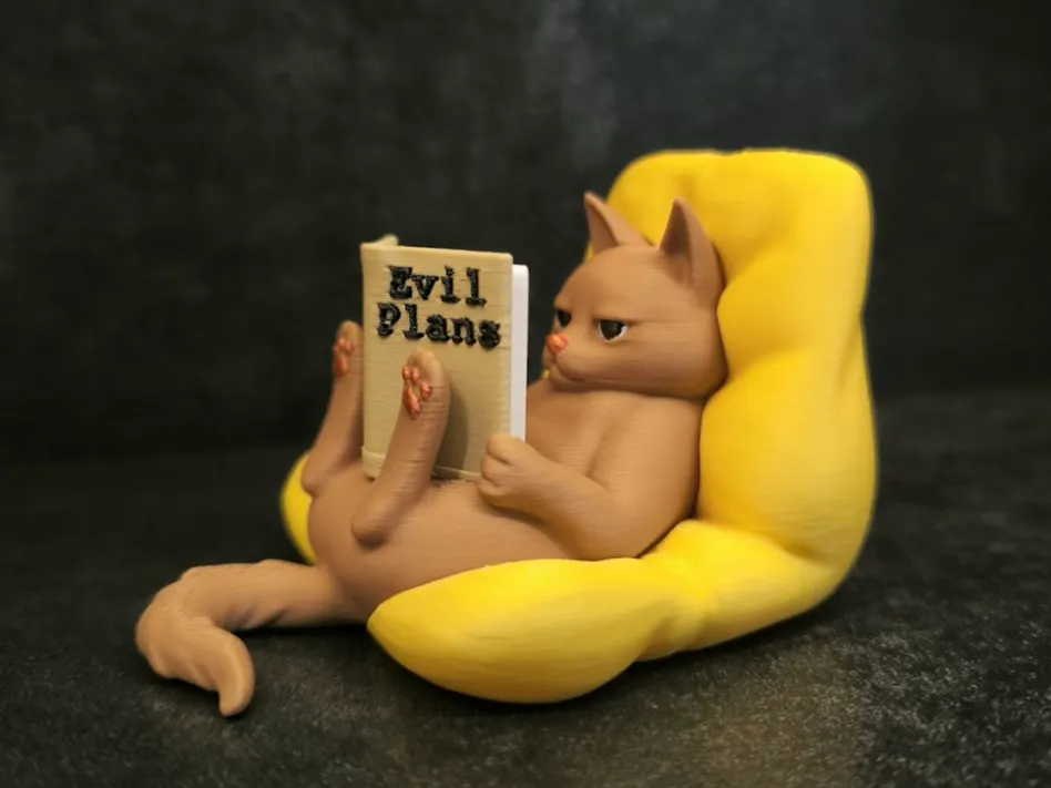 Reading Cat