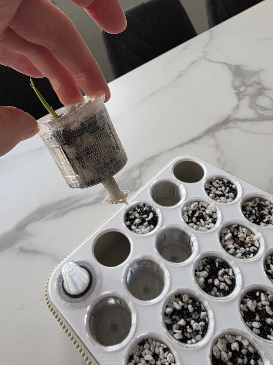 GrowingPot, Modular seed starting system, photo 4 of 4 - GrowingPot, Modular seed starting system Garden & Outdoor