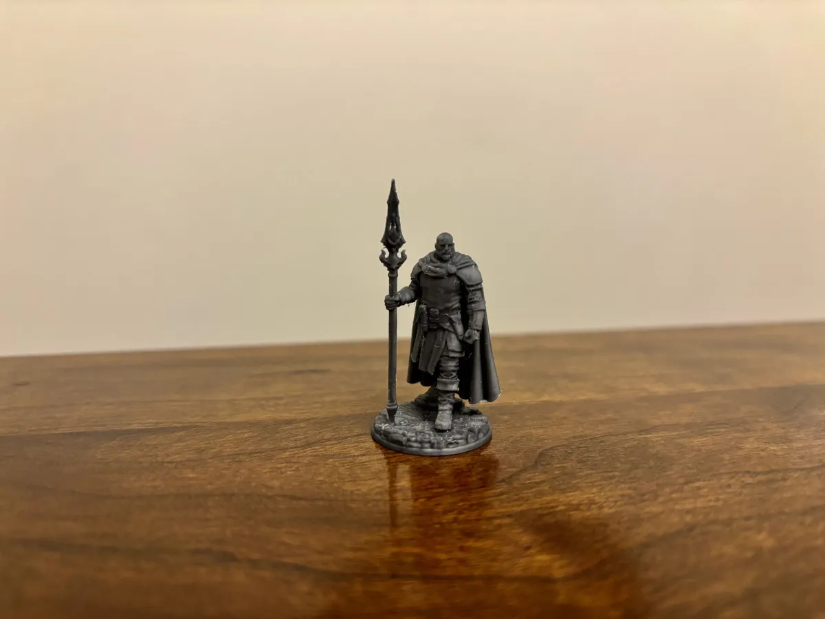 The Lion's Sentinal - D&D Miniature, photo 2 of 4 - The Lion's Sentinal - D&D Miniature Board Games & Tabletop