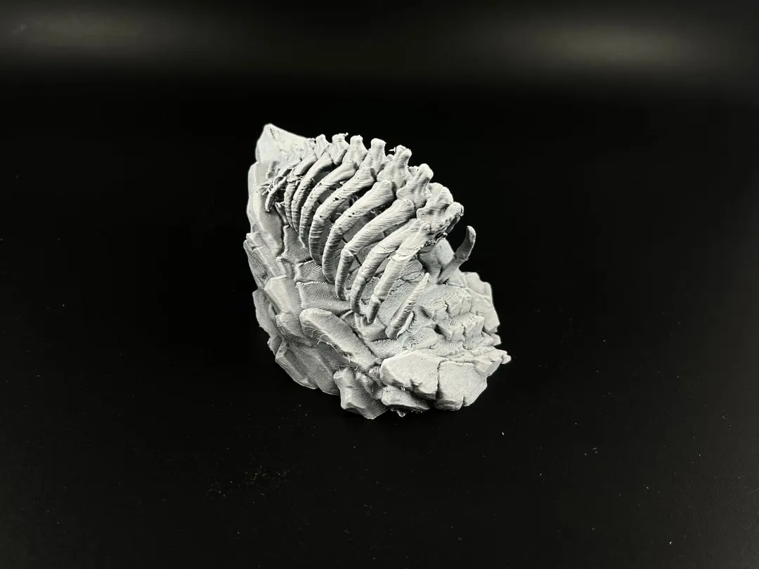 Giant Fossil Ribcage - Board Games, in stock in India