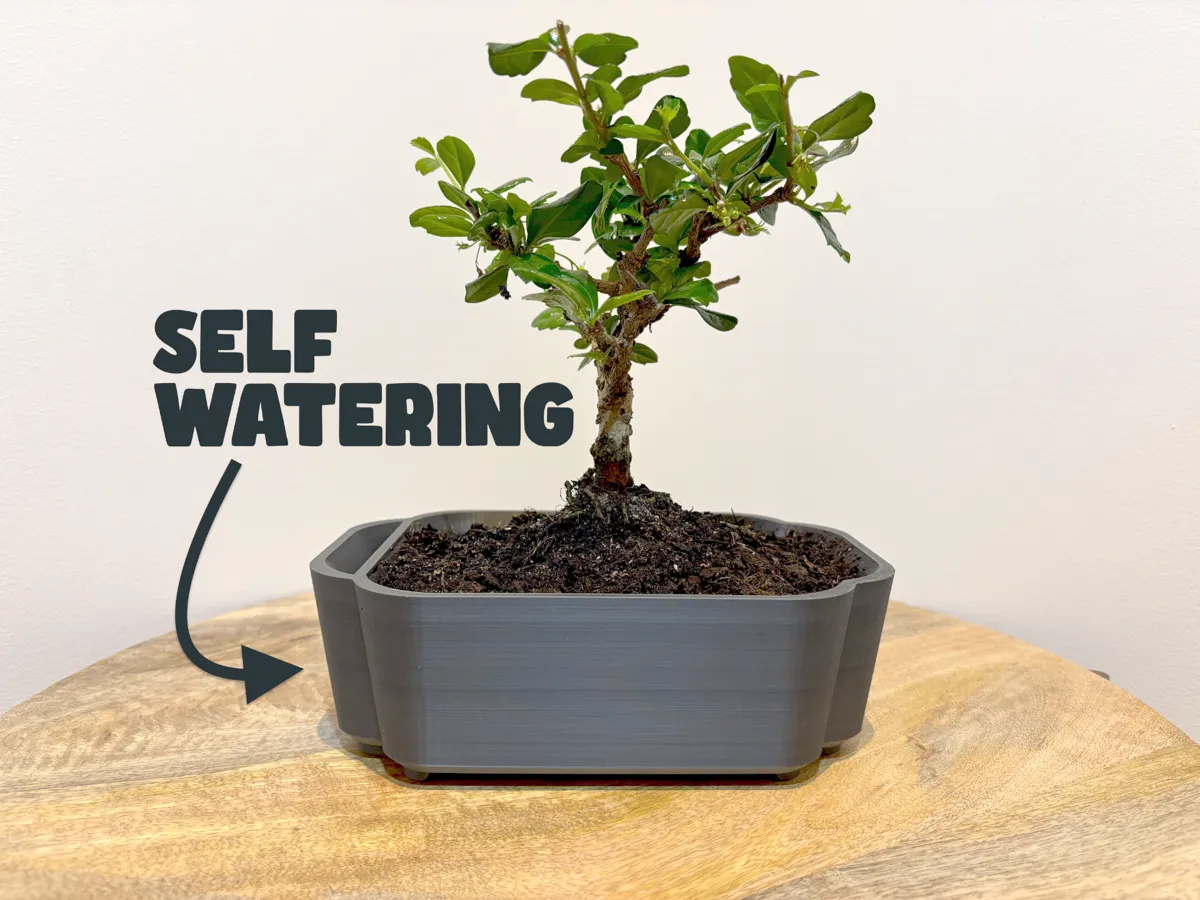 Self-watering Bonsai Planter Pot V3 - Decor, in stock in India