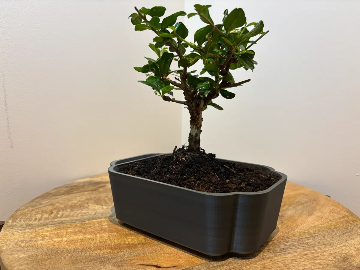 Self-watering Bonsai Planter Pot V3, photo 2 of 4 - Self-watering Bonsai Planter Pot V3 Household