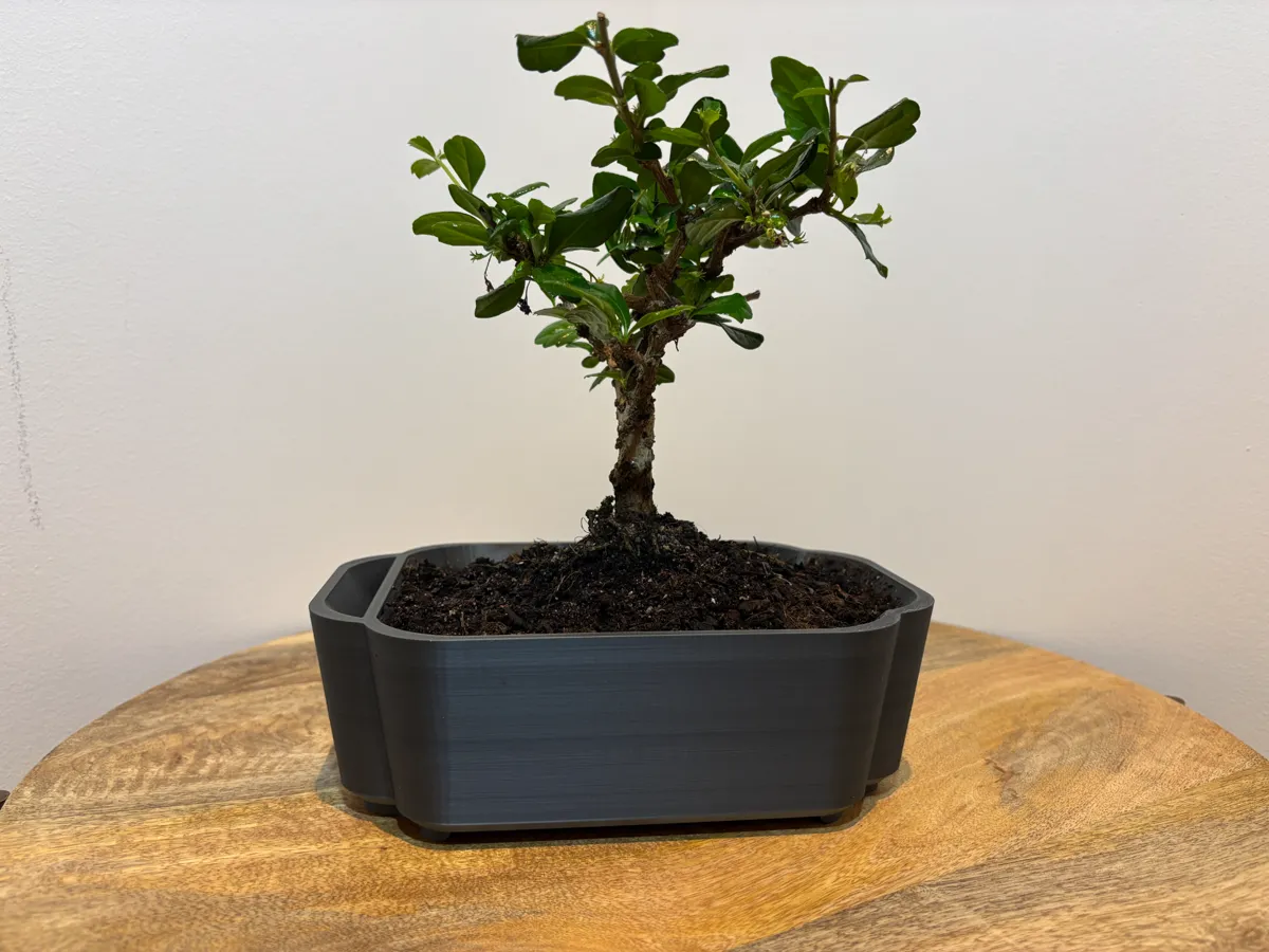 Self-watering Bonsai Planter Pot V3, photo 3 of 4 - Self-watering Bonsai Planter Pot V3 Household
