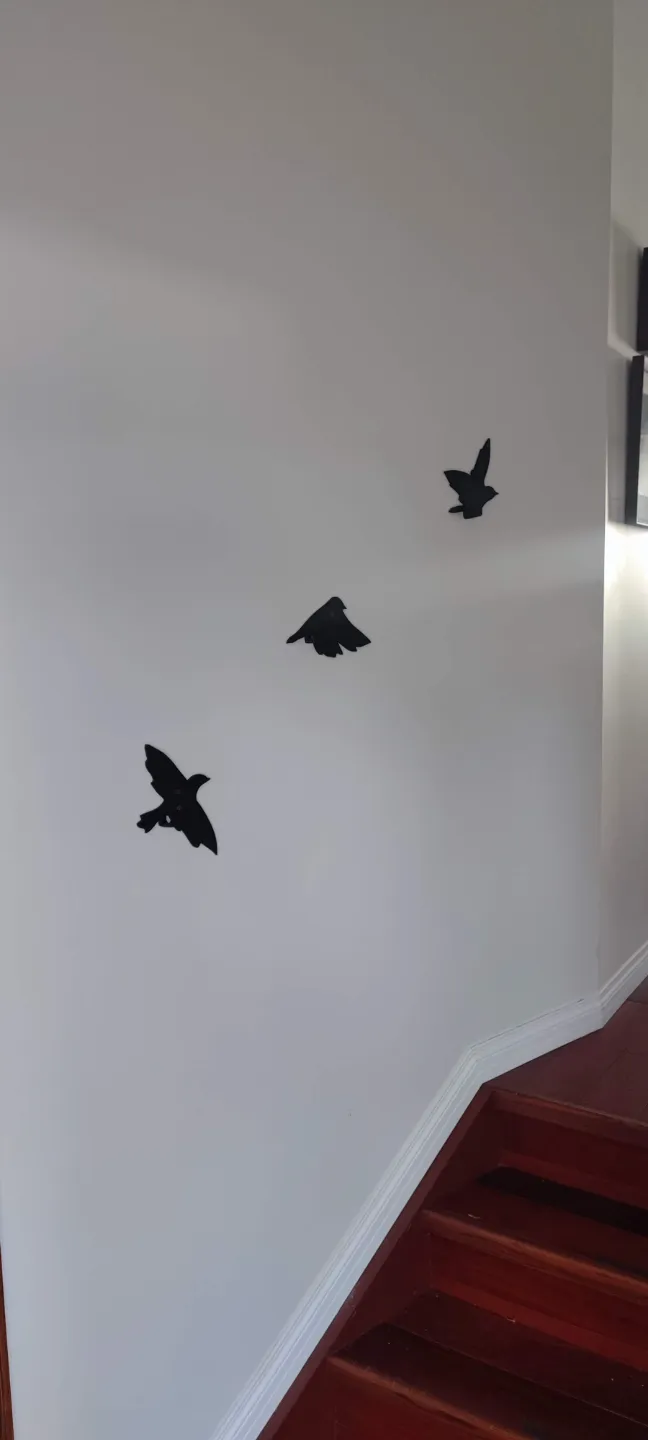 Bird Silhouette Wall Hangers, photo 3 of 3 - Bird Silhouette Wall Hangers Storage & Organisation