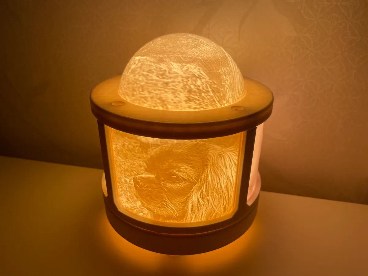 Lithophane lamp-Make one with your own pet images, photo 2 of 4 - Lithophane lamp-Make one with your own pet images Pets