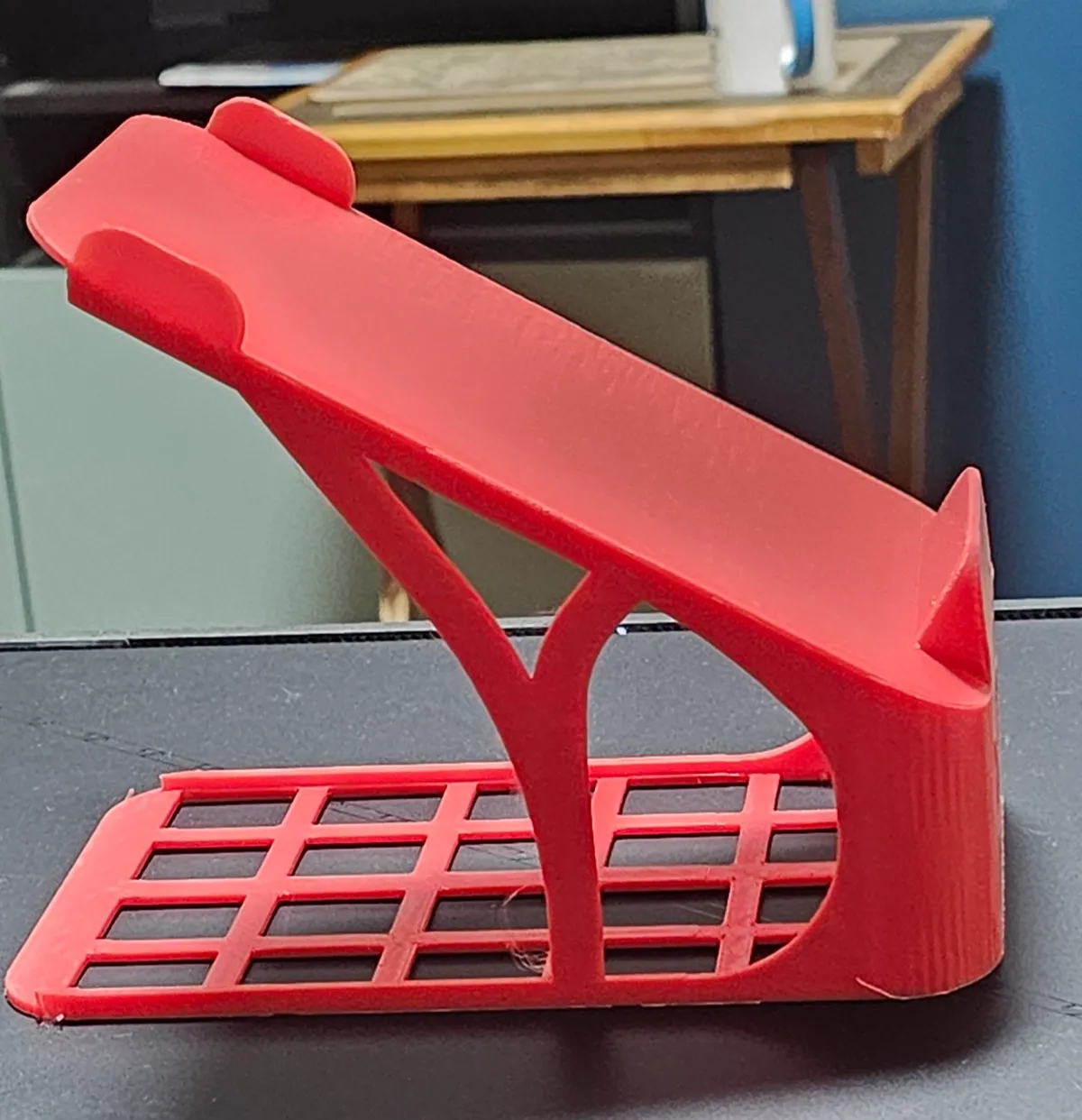 Shoe Organizer