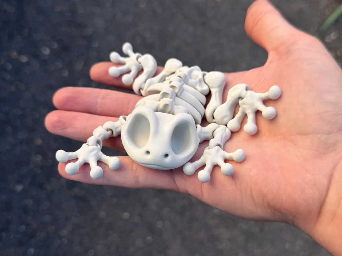 Articulated Skeleton Frog