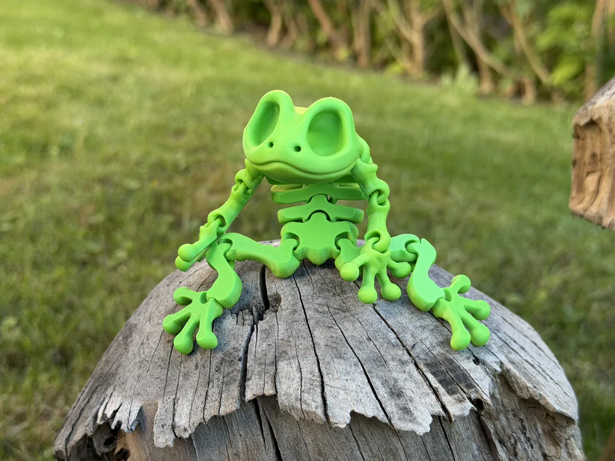 Articulated Skeleton Frog, photo 3 of 4 - Articulated Skeleton Frog Miniatures