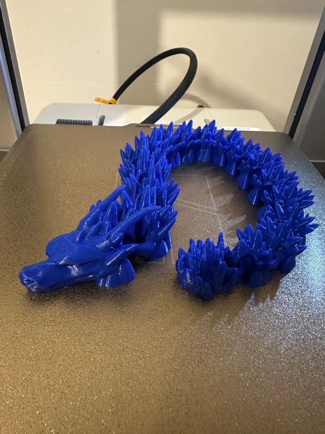 Flexy Articulated Dragon