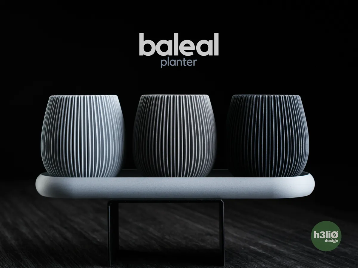 baleal • planter