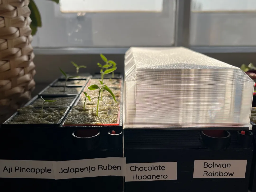 Miniature selfwatering greenhouse seedling starter