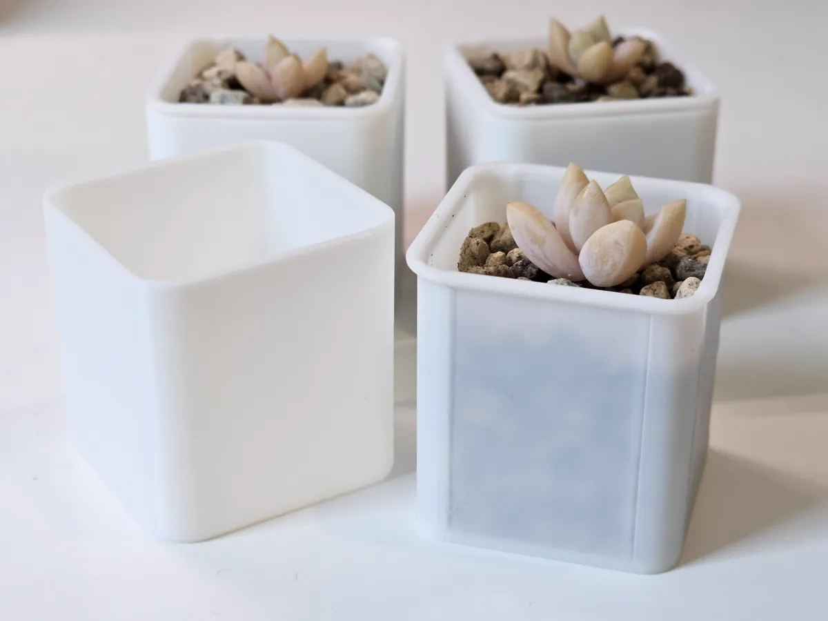 Mini Plant Pot and Cover for Propagations, photo 2 of 4 - Mini Plant Pot and Cover for Propagations Household
