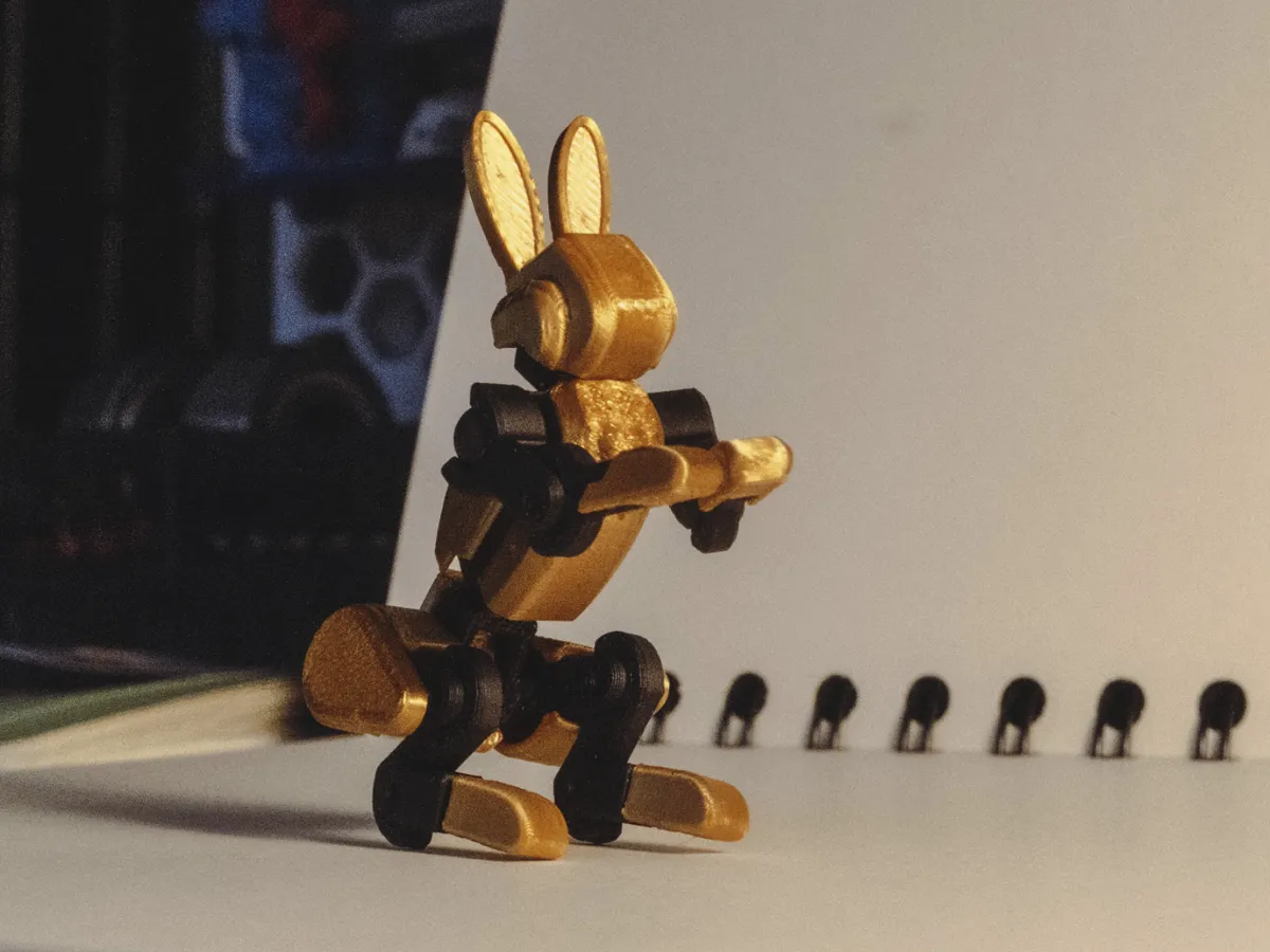 Bunny 13 - Easter Bunny For Dummy 13