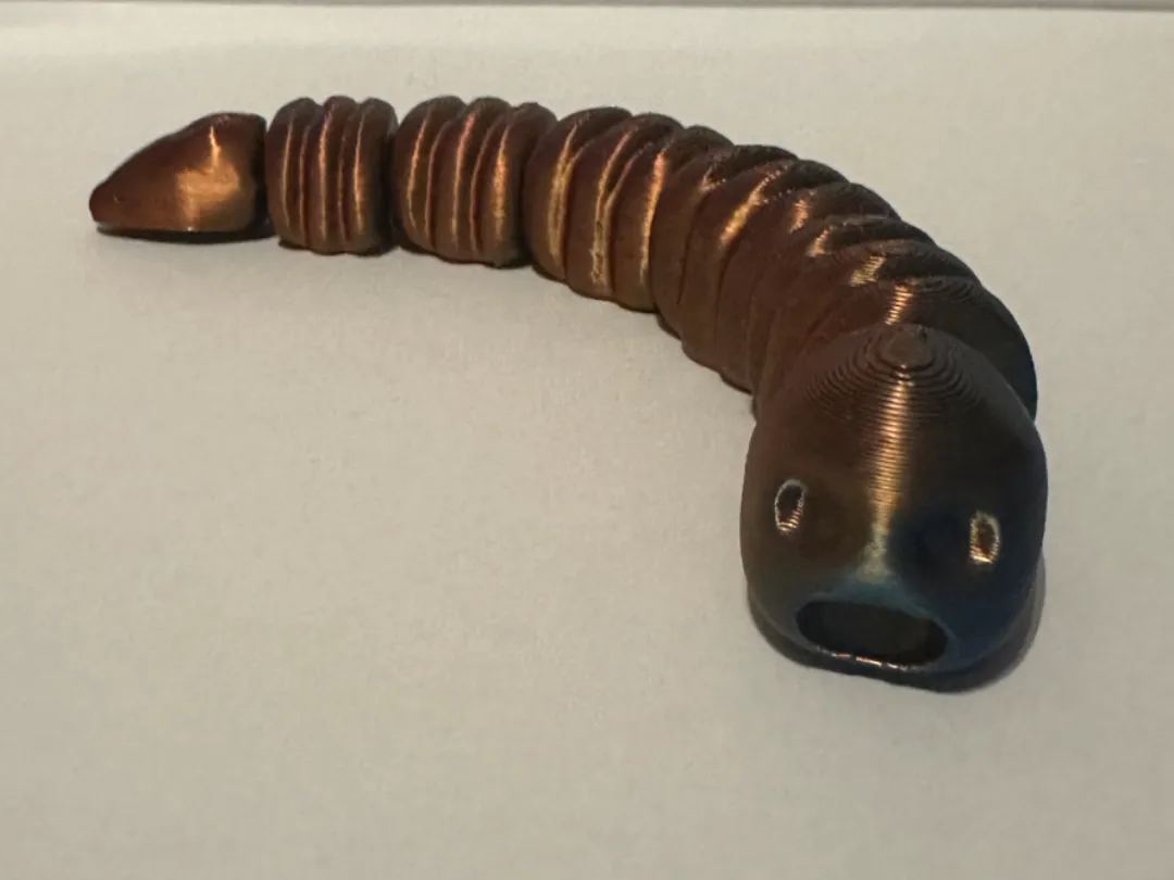 Articulated Worm - Animals, in stock in India