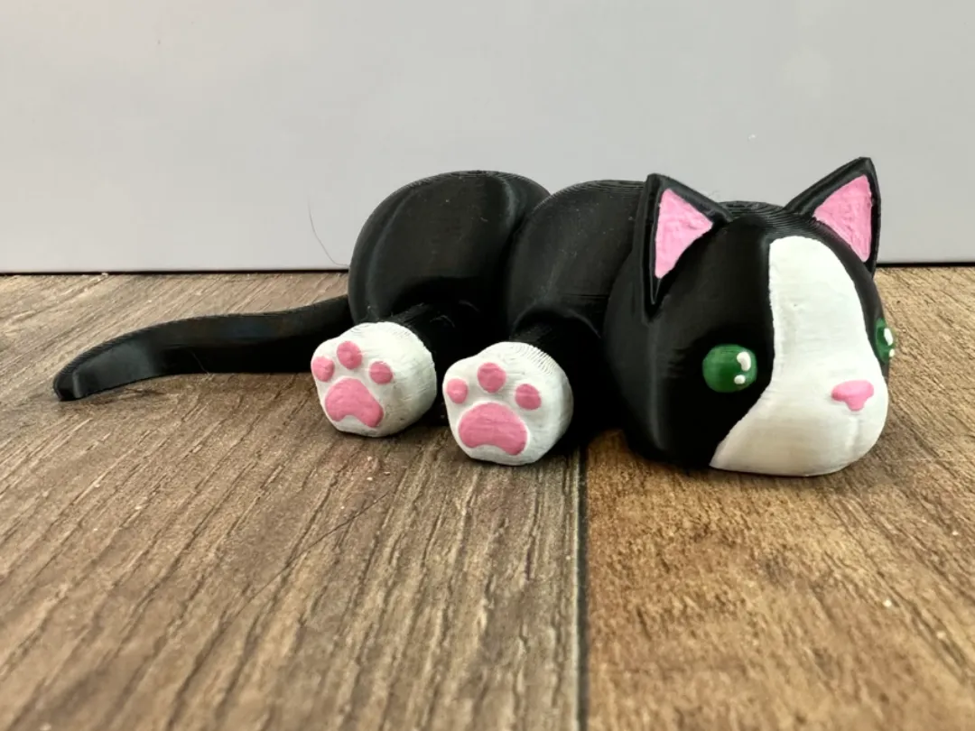 Boots the Tuxedo Cat