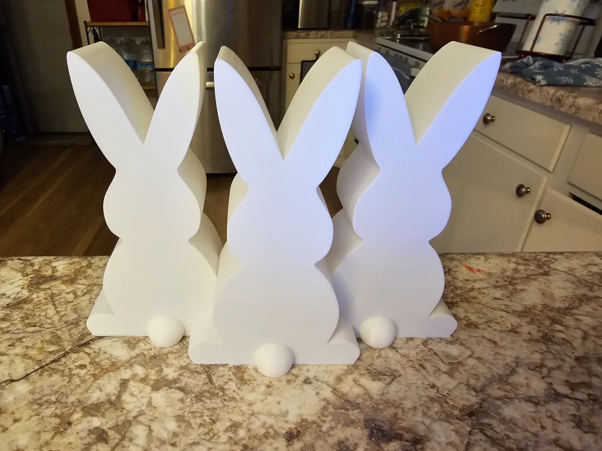 Easter Bunny Light, photo 2 of 4 - Easter Bunny Light Gifts & Occasions
