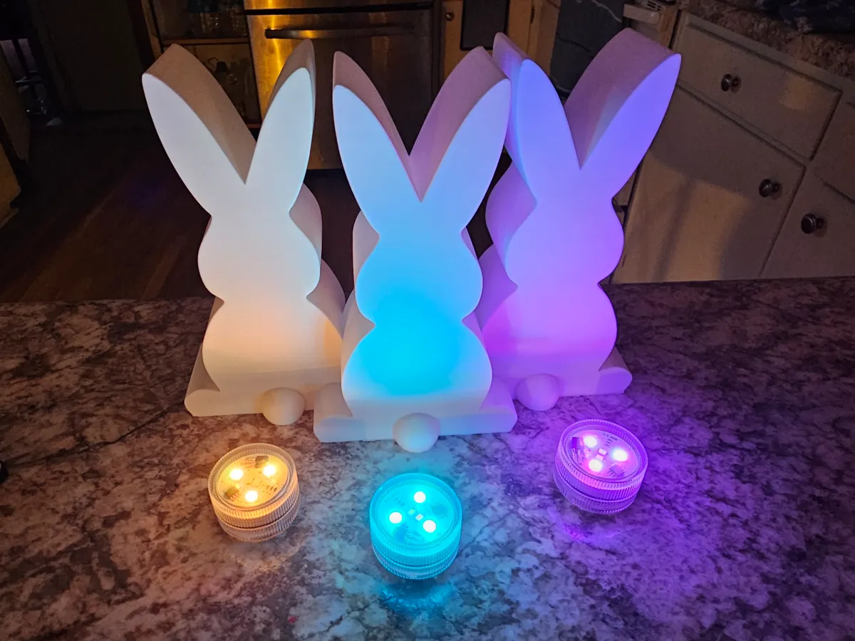 Easter Bunny Light, photo 3 of 4 - Easter Bunny Light Gifts & Occasions