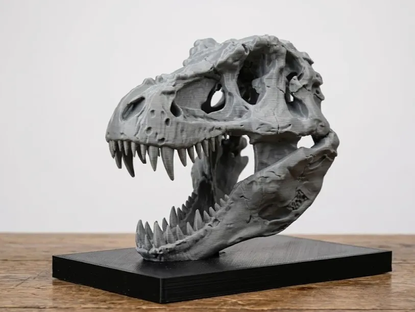 T-Rex Book Nook