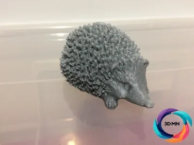 Cute Hedgehog