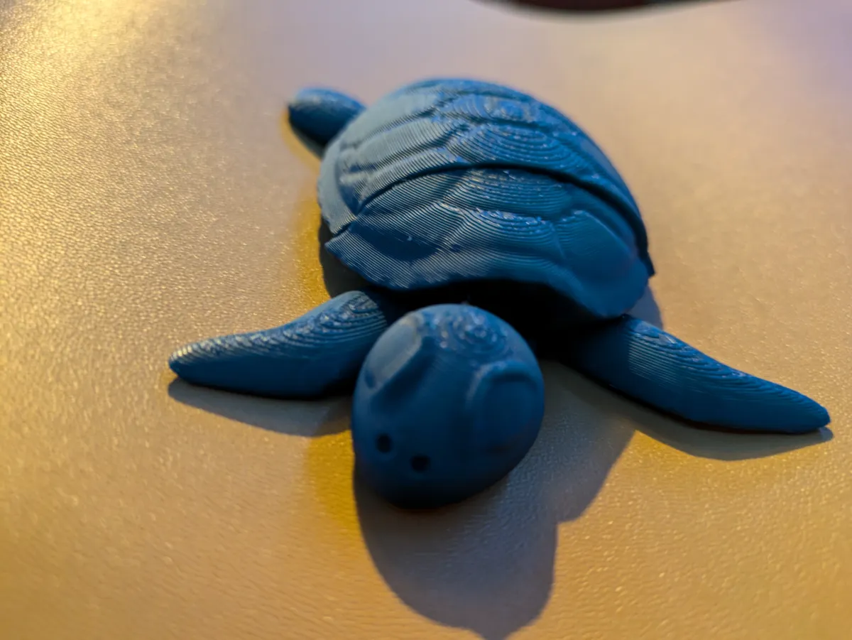 Flexi turtle, photo 2 of 4 - Flexi turtle Fidget & Sensory Toys