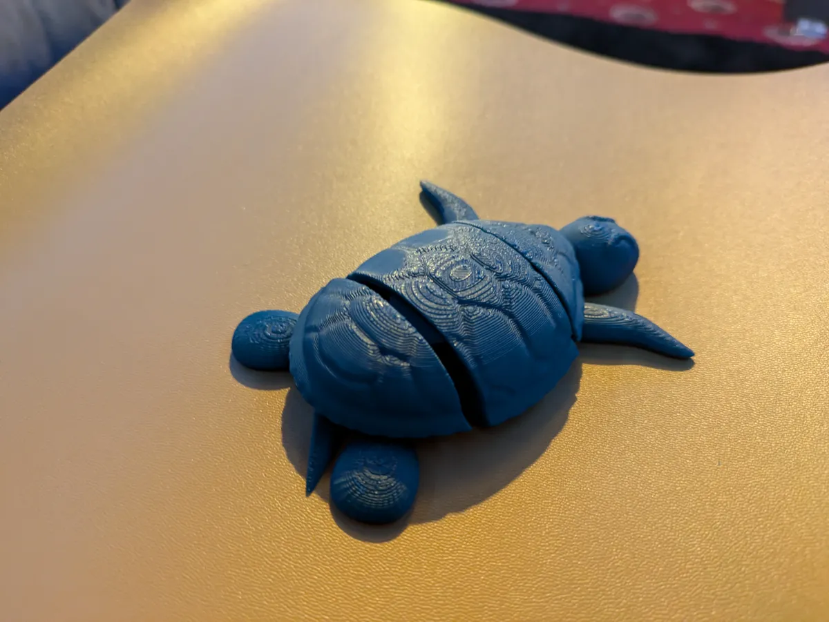 Flexi turtle, photo 3 of 4 - Flexi turtle Fidget & Sensory Toys