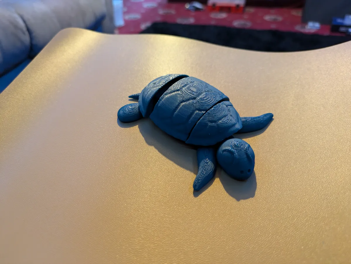 Flexi turtle, photo 4 of 4 - Flexi turtle Fidget & Sensory Toys