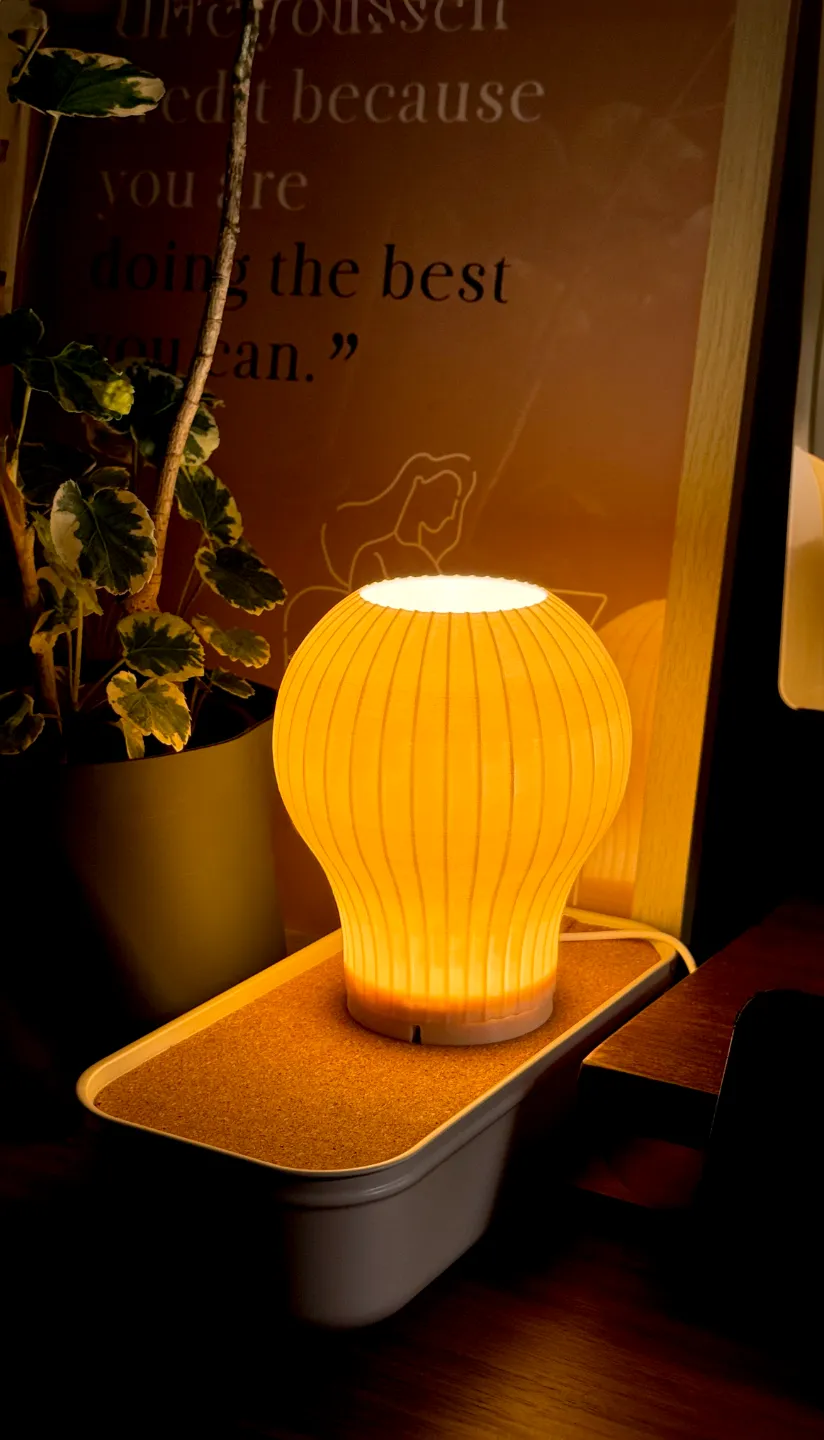 IdeaBulb Lamp for LED Lamp Kit, photo 2 of 4 - IdeaBulb Lamp for LED Lamp Kit Lamps & Lighting