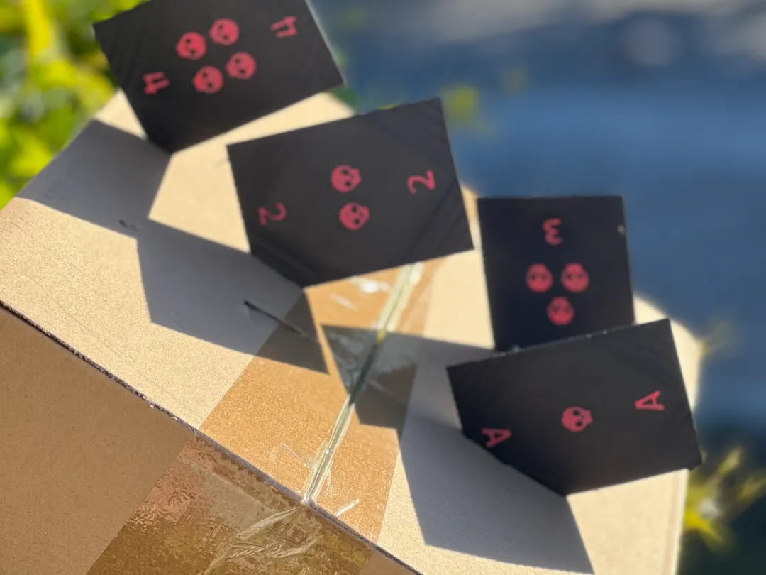 Assassin's Deck Throwing Card Set