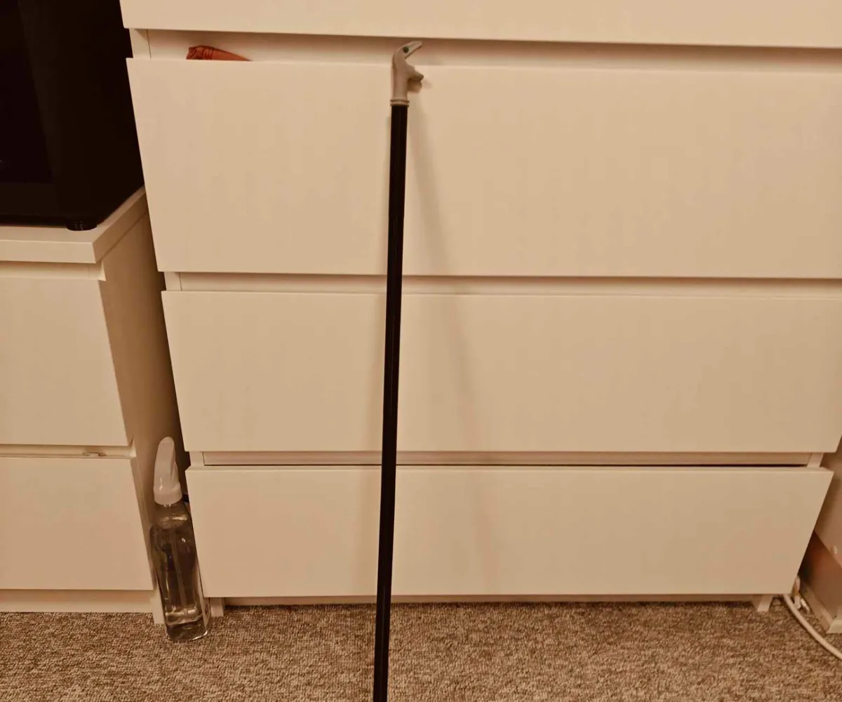 Lucius Malfoy Cane - Wands, Staffs & Sceptres, in stock in India