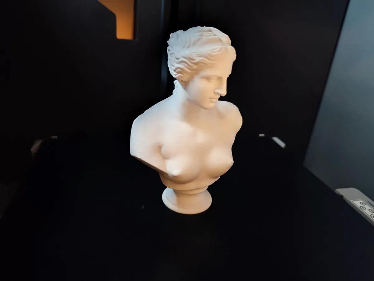 Bust of Venus de Milo from Scan the World