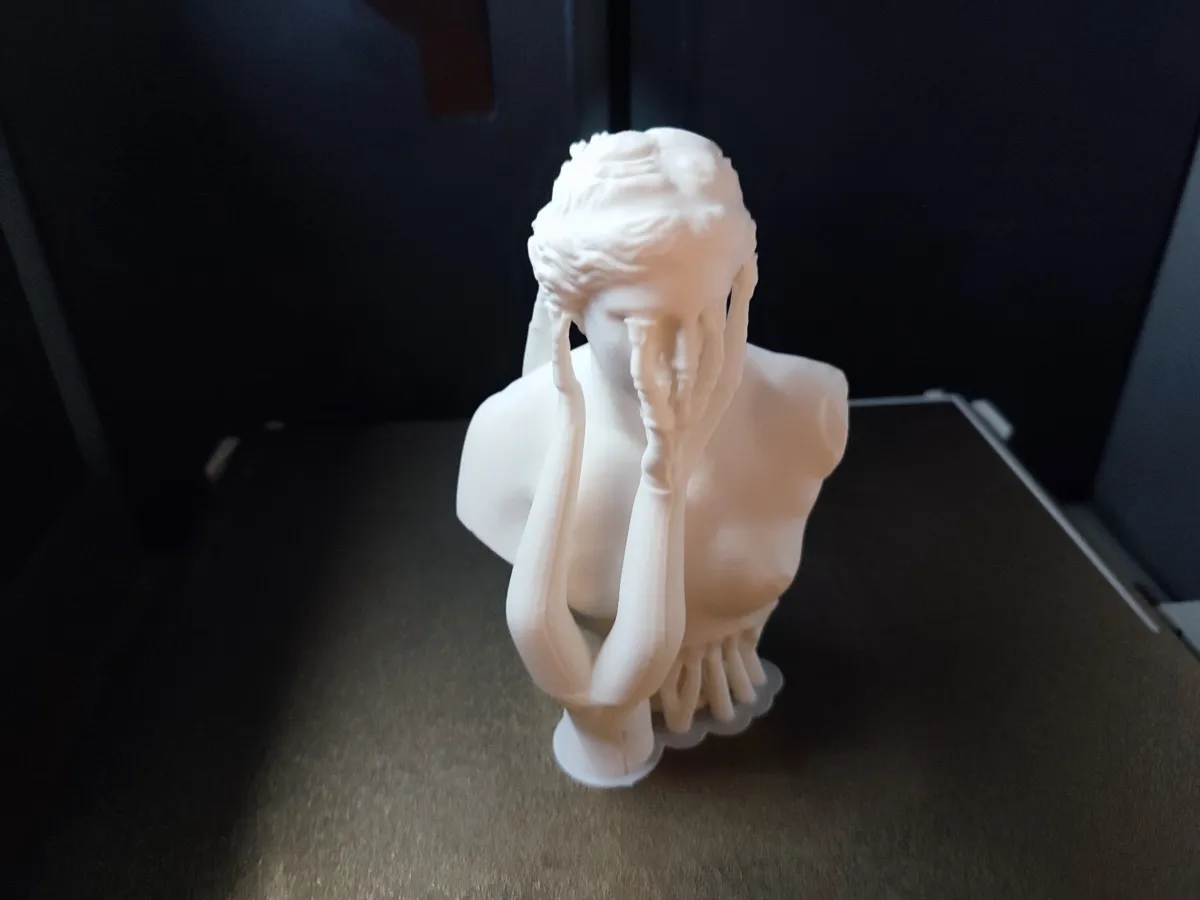 Bust of Venus de Milo from Scan the World, photo 3 of 3 - Bust of Venus de Milo from Scan the World Figurines & Collectibles