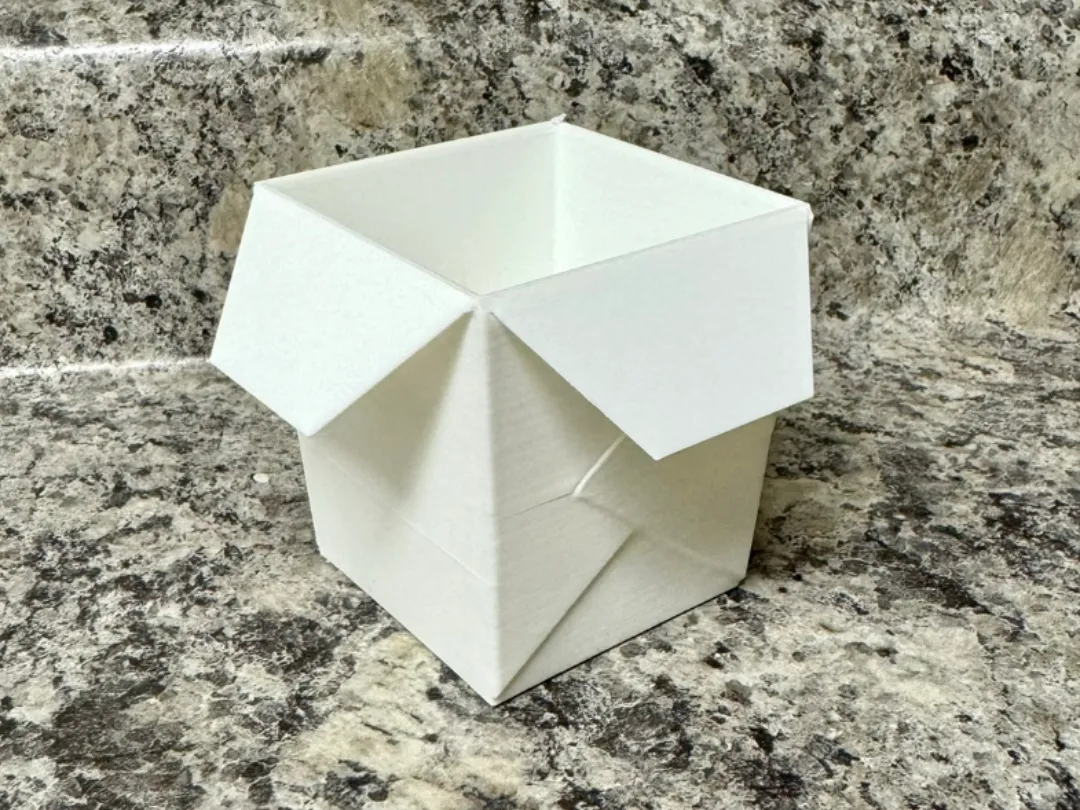 Takeout Box
