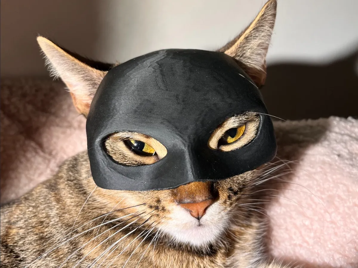 Catwoman Mask For Cats (Feminine Version) - Masks & Helmets, in stock in India