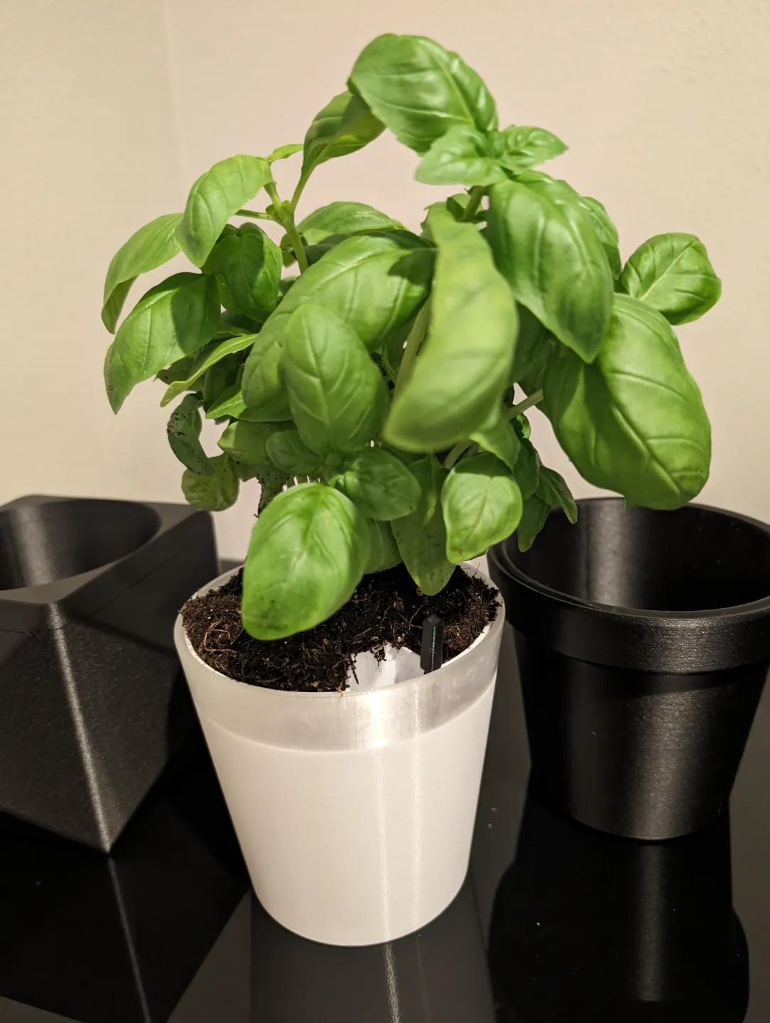 ESSENTIA Planter Bin self-watering 4"/10cm, photo 3 of 4 - Self-watering Planters, plant pot