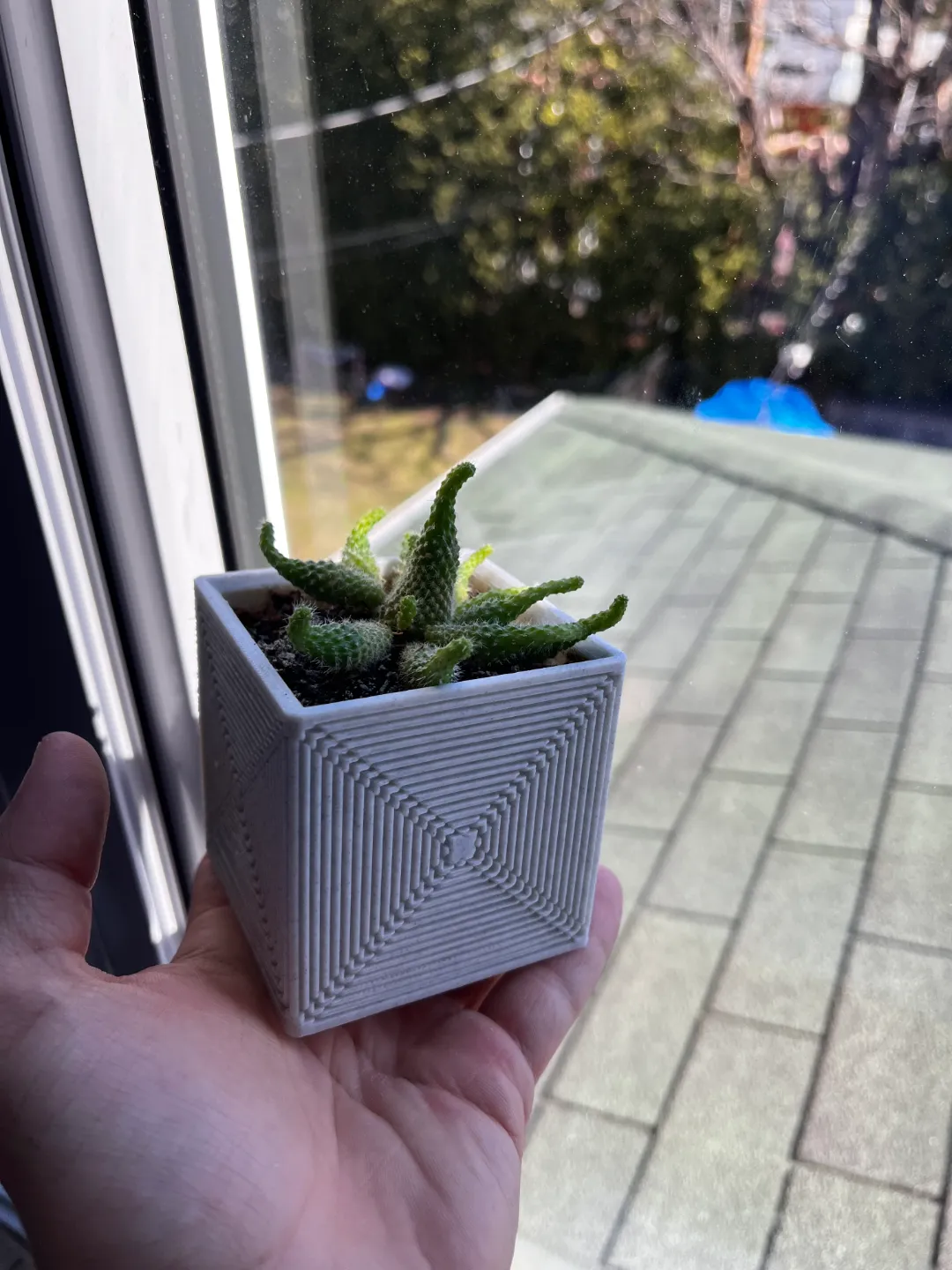 Modern Planter, photo 2 of 2 - Geometric & Modern Planters, gardne