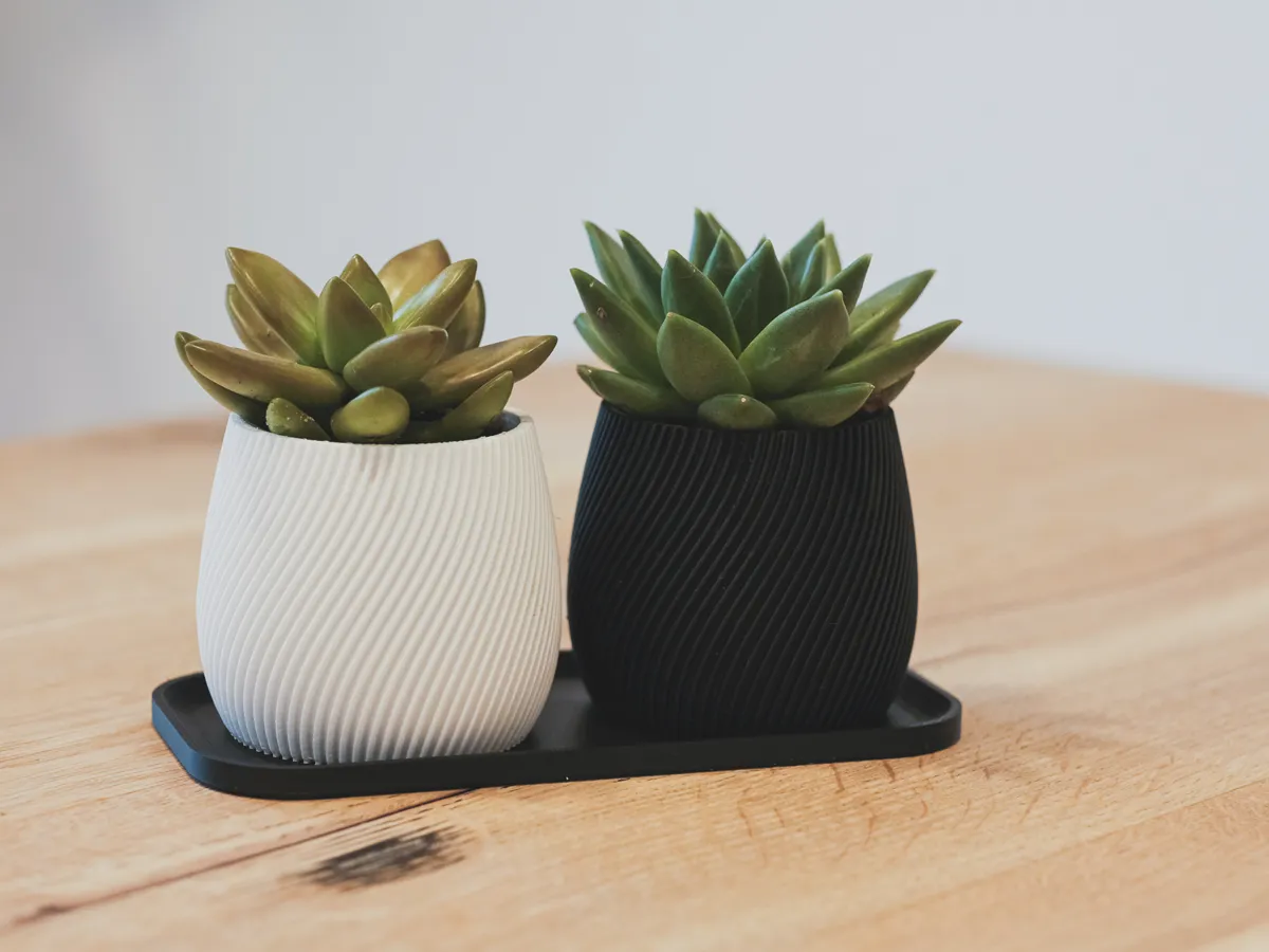 Modern Planter