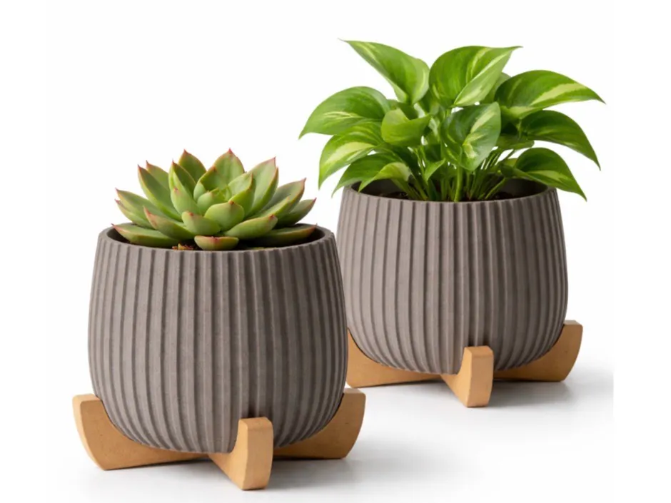Flower or Succulent Planter with Stand