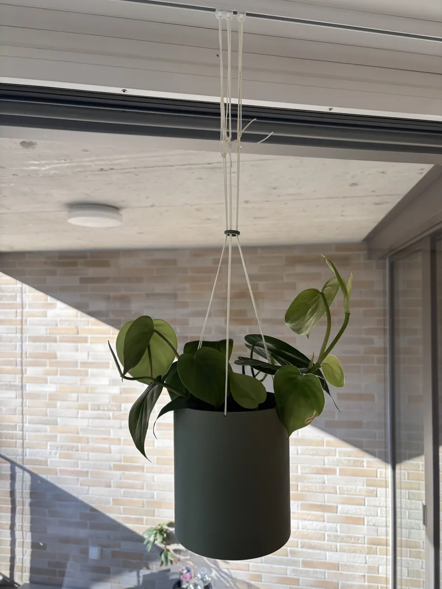 Minimalist Hanging Planter Ø120 mm with Drip Tray, photo 4 of 4 - Minimalist Hanging Planter Ø120 mm with Drip Tray Garden & Outdoor