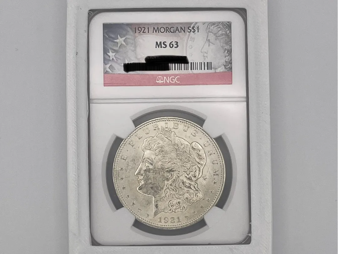 Ngc/Pcgs customizable case bumper