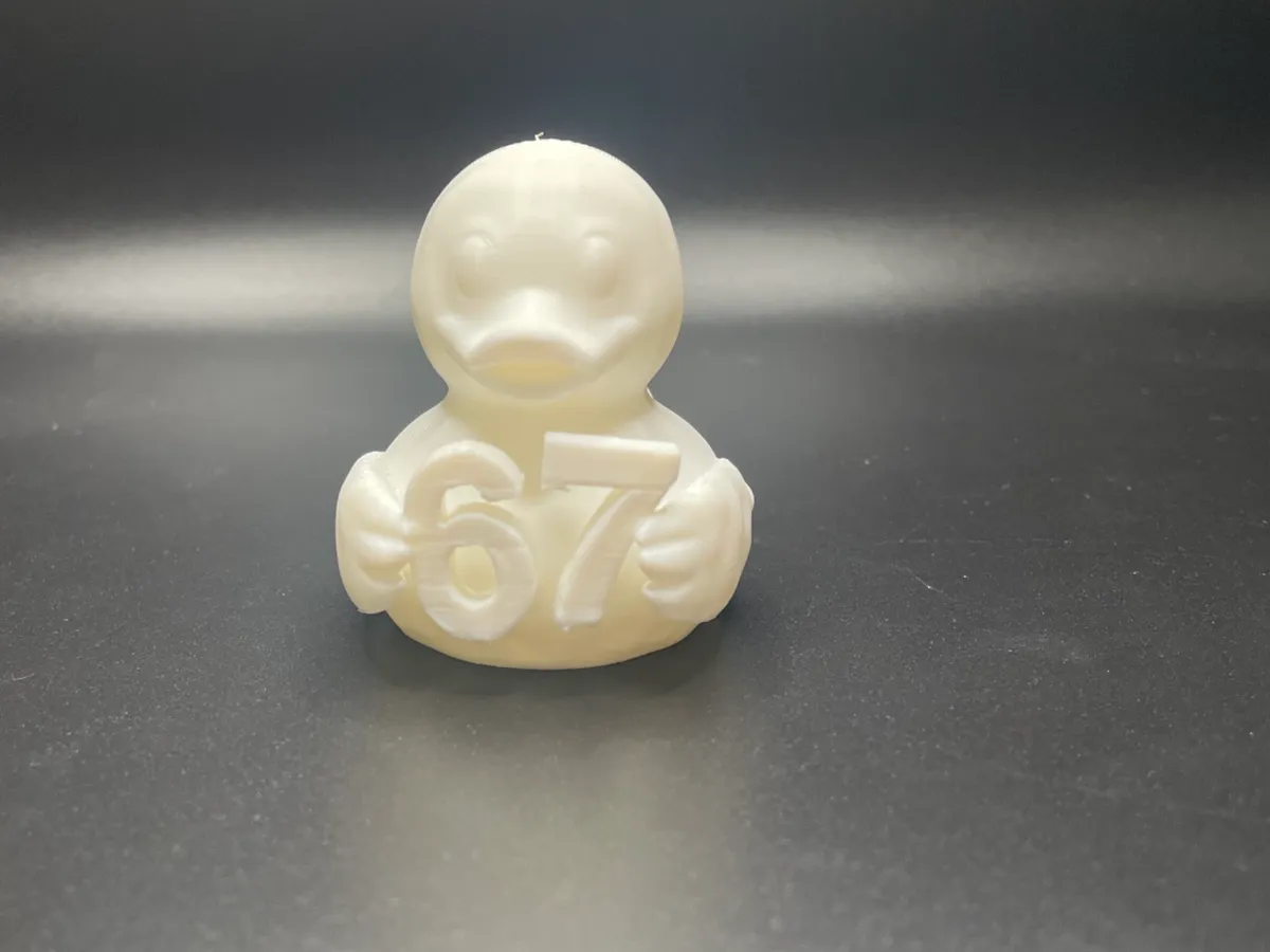 67 Duck